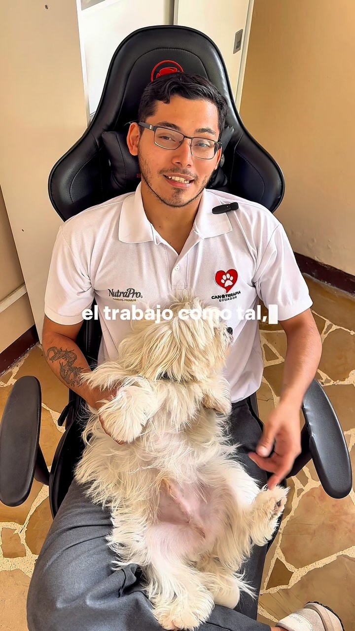 Reel sobre bienestar laboral